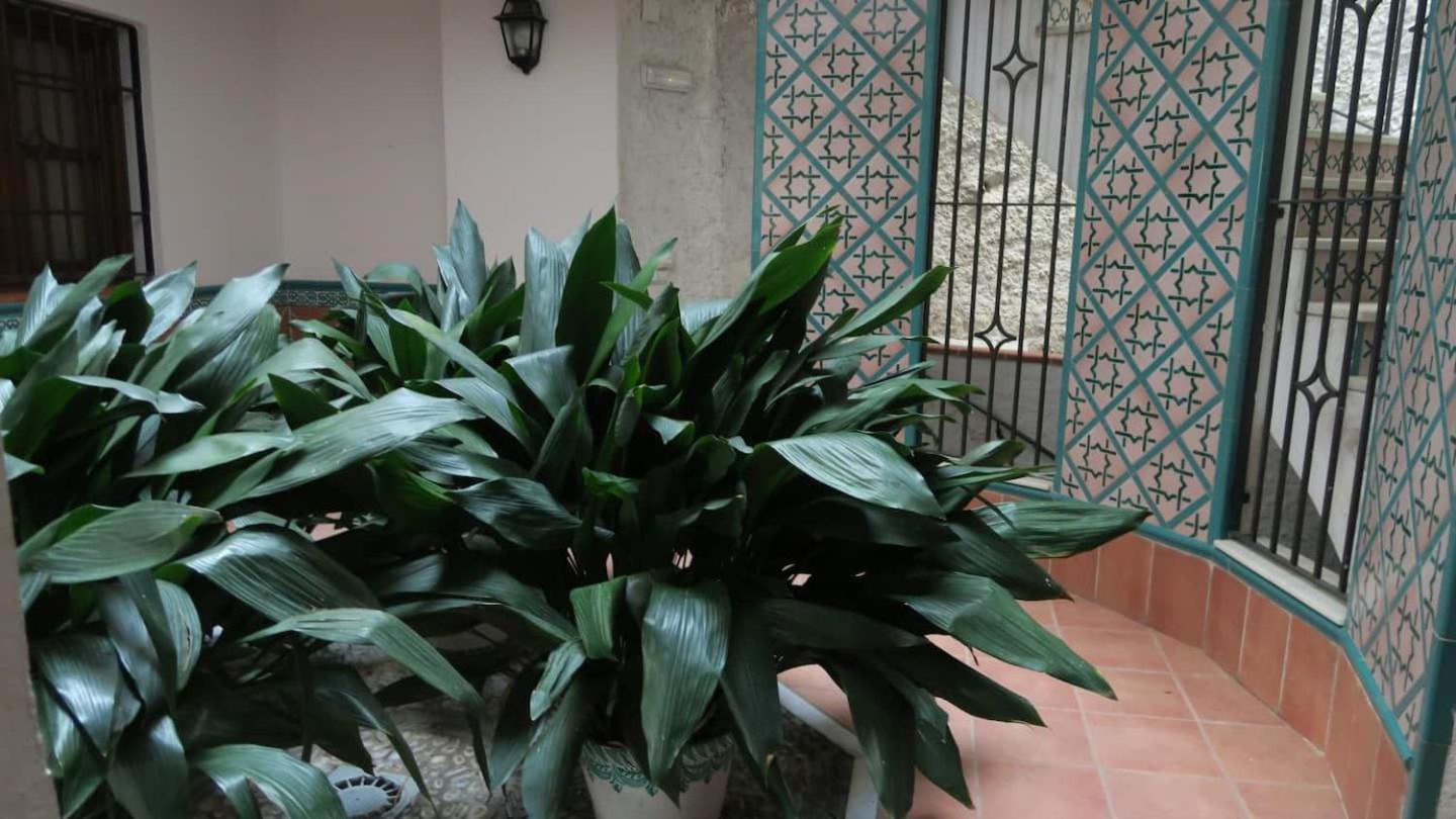 Charming Albaicin Patio Flat Free Onsite Parking Apartment Granada Exterior foto