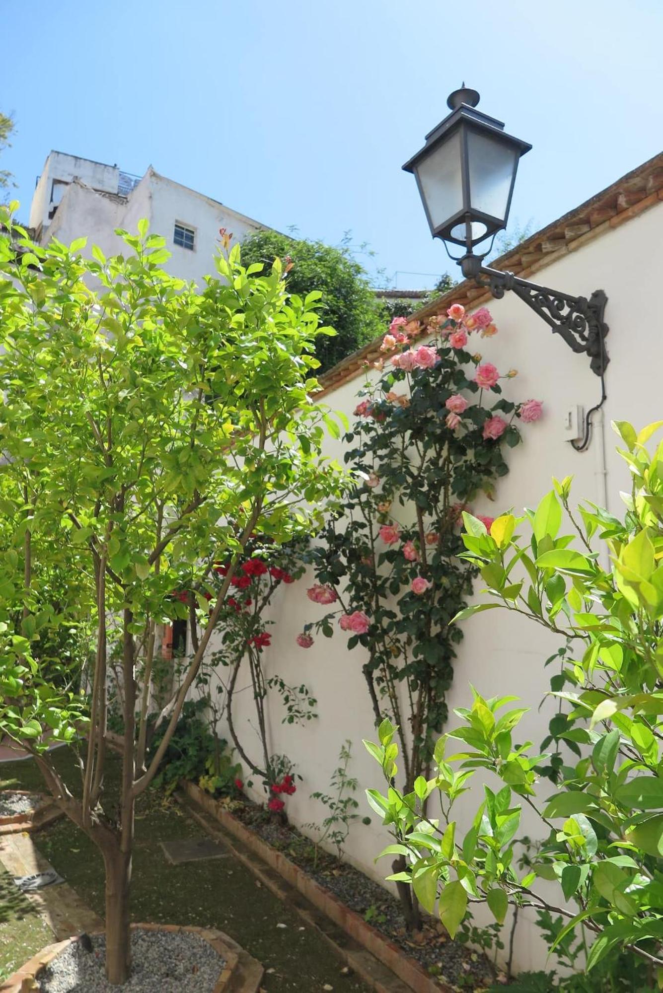 Charming Albaicin Patio Flat Free Onsite Parking Apartment Granada Exterior foto