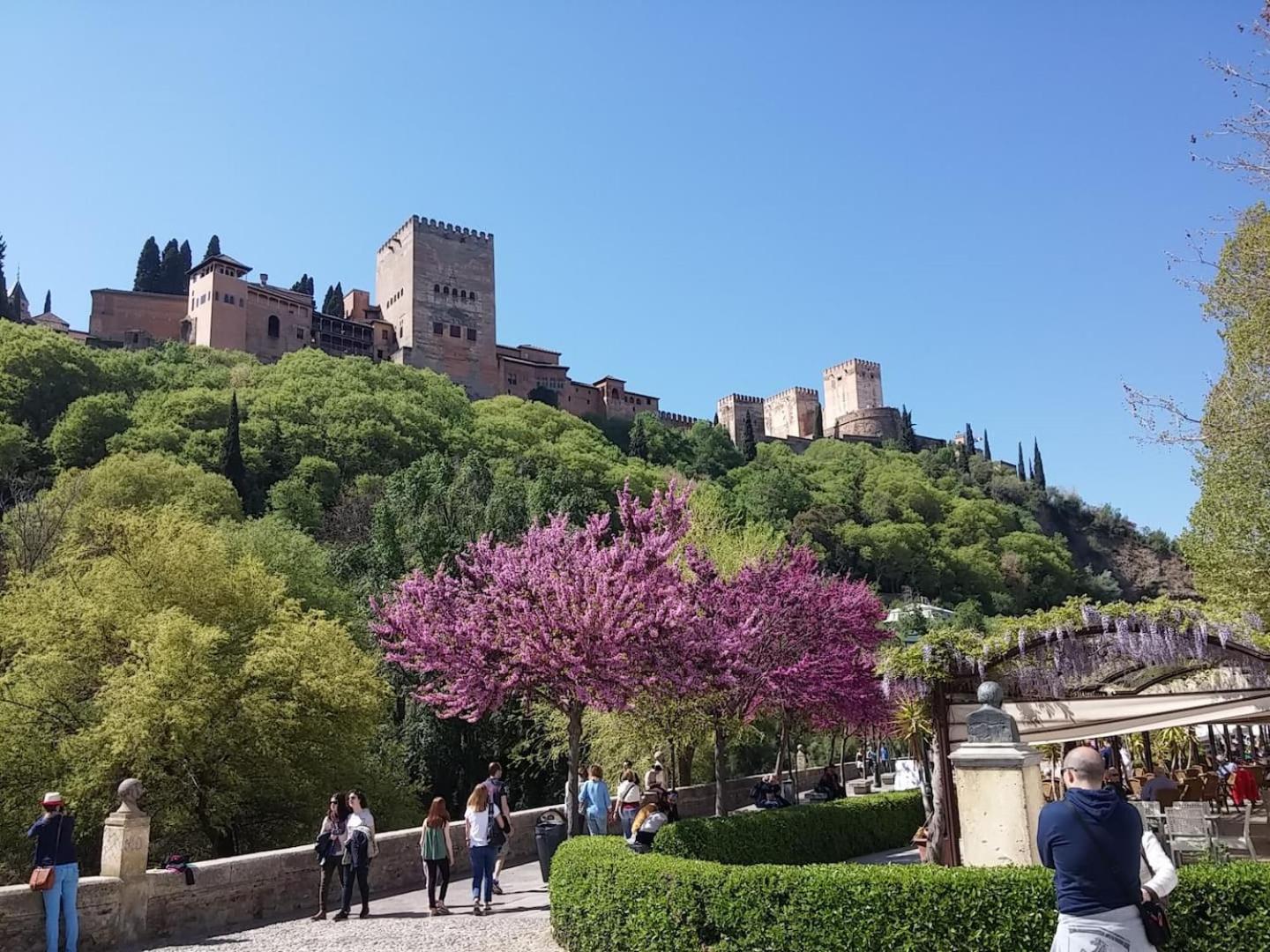 Charming Albaicin Patio Flat Free Onsite Parking Apartment Granada Exterior foto